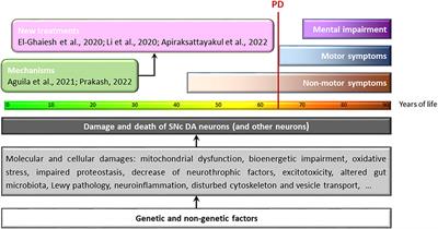 Editorial: Factors contributing to dopaminergic cell death